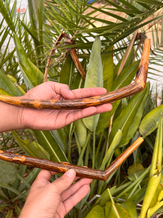 Caapi Ayahuasca vid Tepi