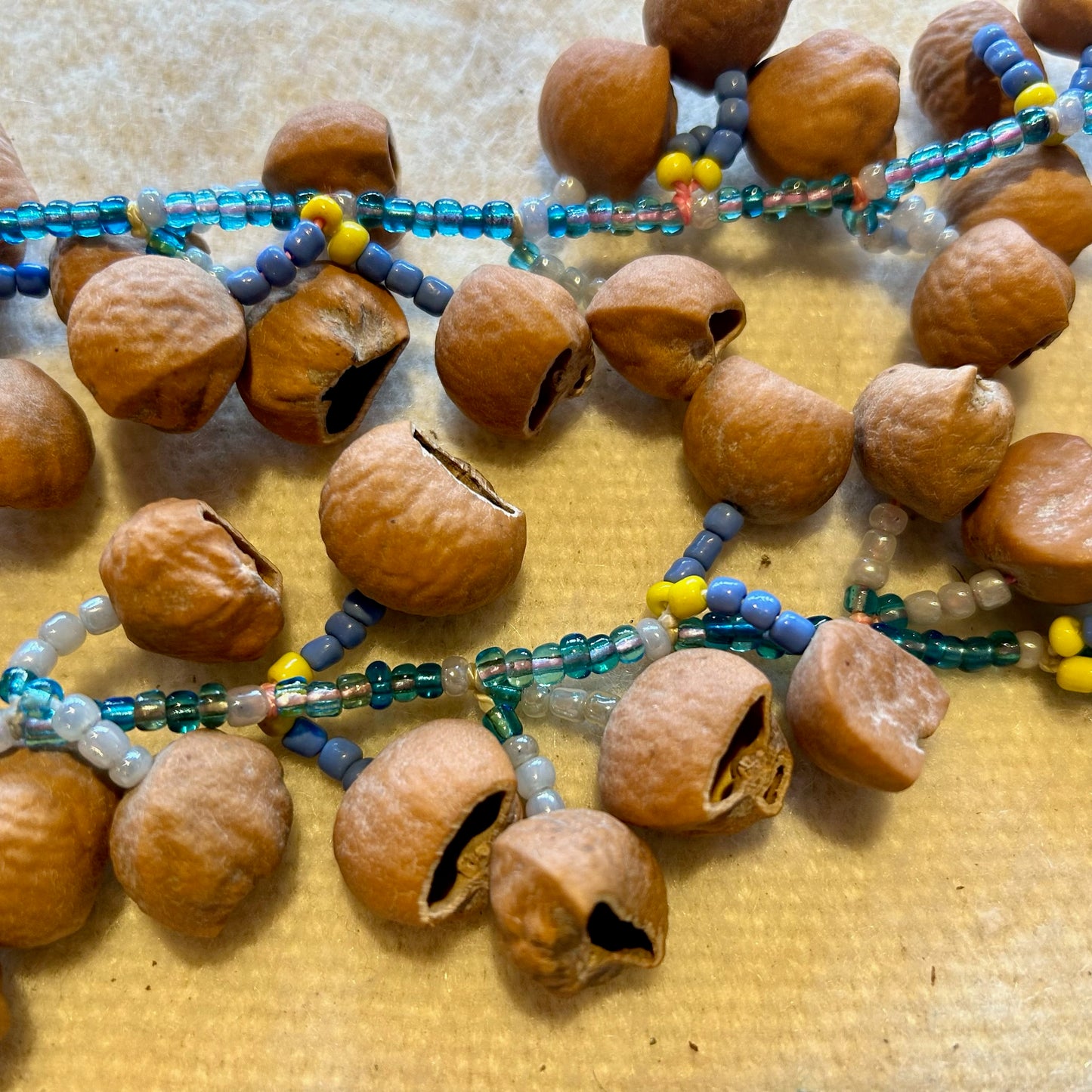 Rattle strap medium sized Cascabeles macho