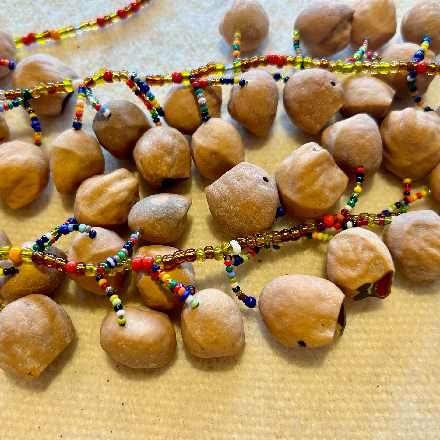 Jungle rattle strap medium sized - Cascabeles macho