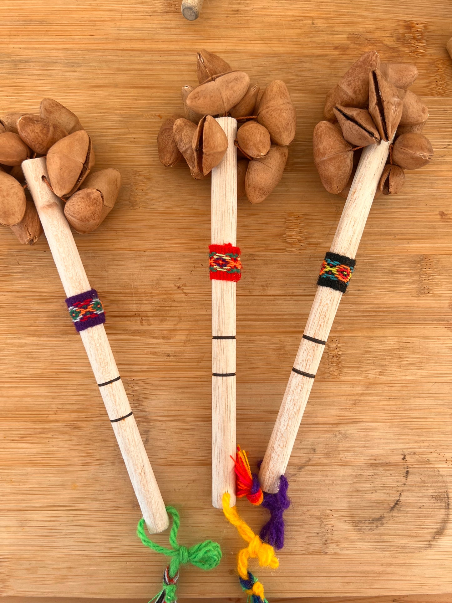 Jungle rattle cascabeles macho