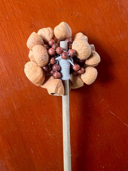 Jungle rattle cascabeles macho with seeds