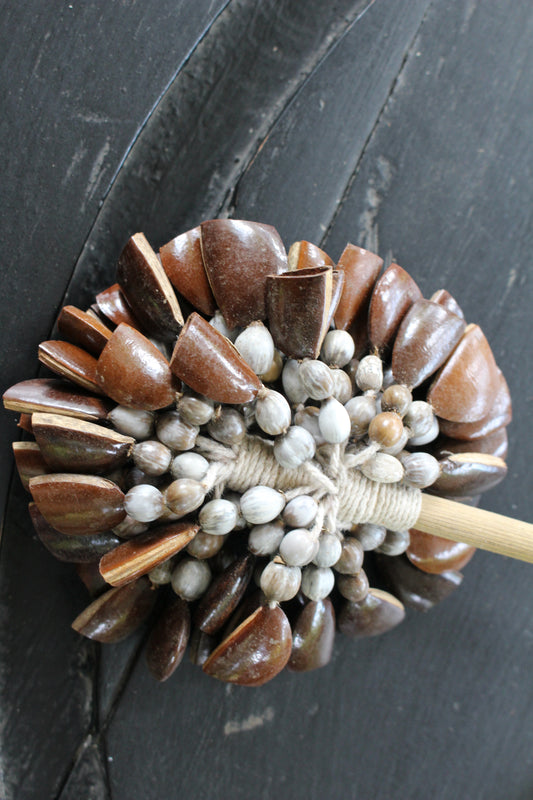 Jungle rattle cascabeles hembra