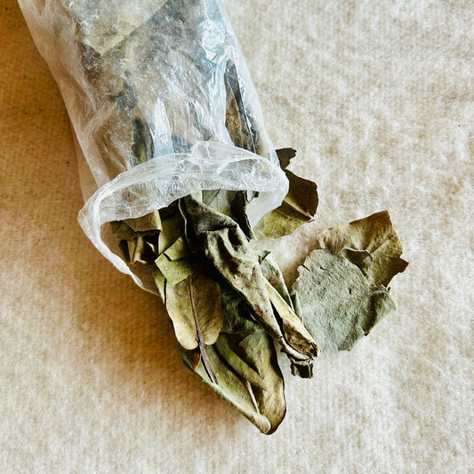 Incense leaves