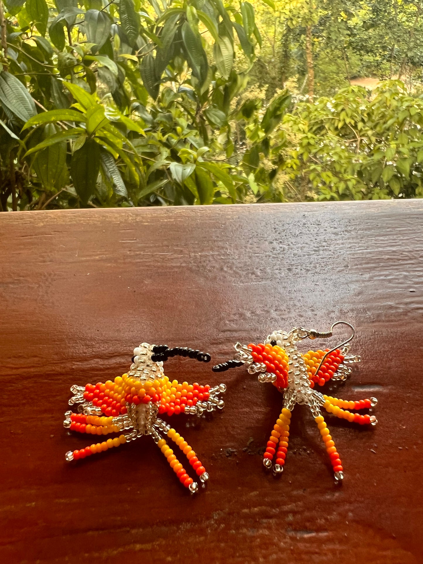 Colibrí earrings Yanacona