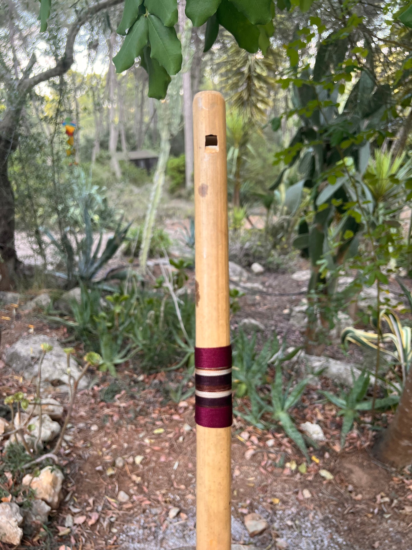 Shamanic flute - Pingullo purple