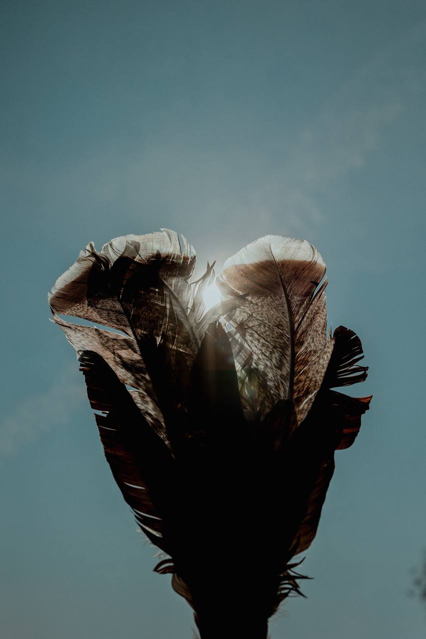 Feathers with rattle Cascabeles hembra