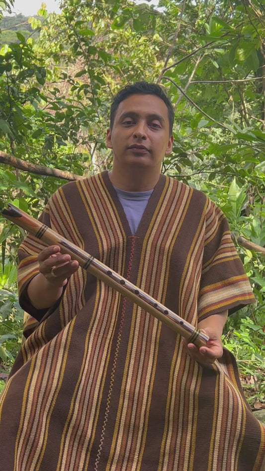 Shamanic flute - Quenacho C major