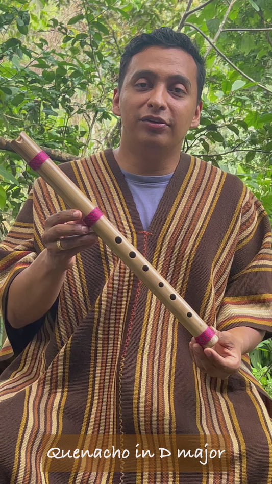 Andean flute - Quenacho D major