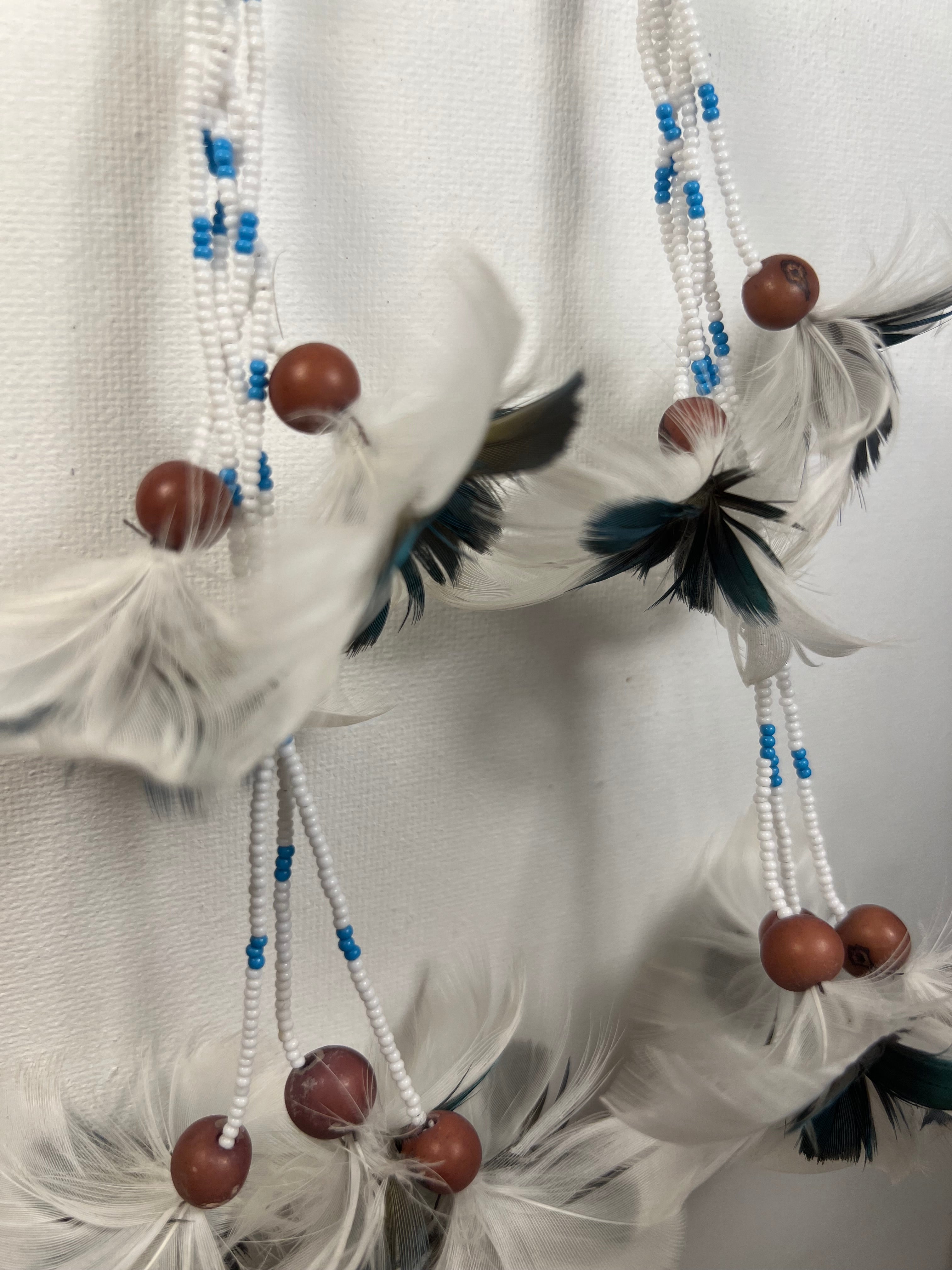 Yawanawa outlets feather earrings